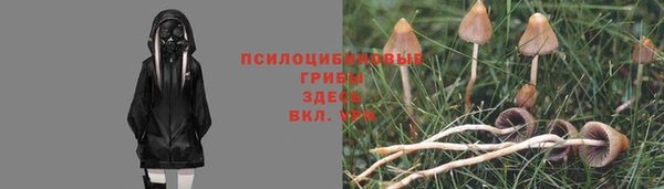 метадон Арсеньев